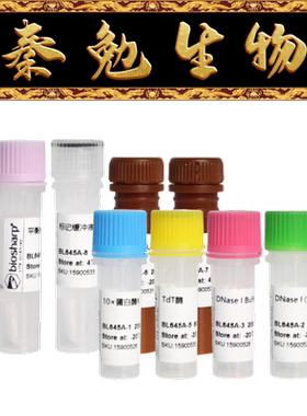 Biosharp白鲨 BL645A TUNEL细胞凋亡检测试剂盒