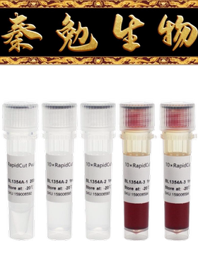 Biosharp白鲨 BL1354A RapidCut PvuII 快速限制性内切酶