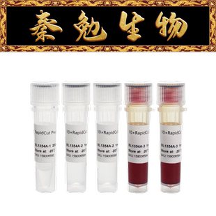 Biosharp白鲨 BL1354A RapidCut PvuII 快速限制性内切酶