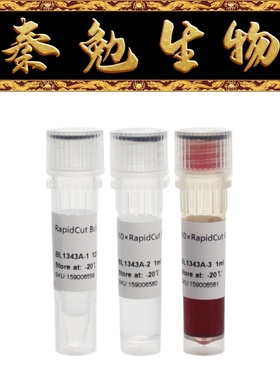 Biosharp白鲨 BL1343A RapidCut BclI 快速限制性内切酶