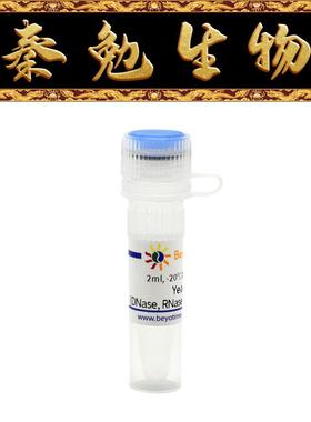 碧云天 R0040 Yeast RNA (DNase, RNase &Proteinase Free)