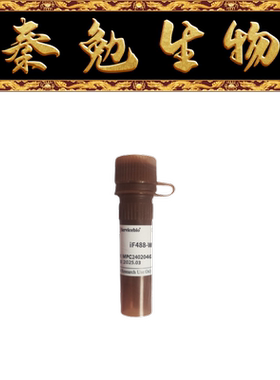 赛维尔 货号：G1730-100UL iF488-Wheat Germ Agglutinin WGA绿光