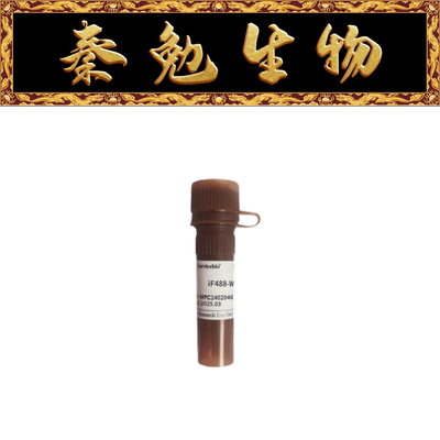 G1730-100ULiF488-Wheat赛维尔