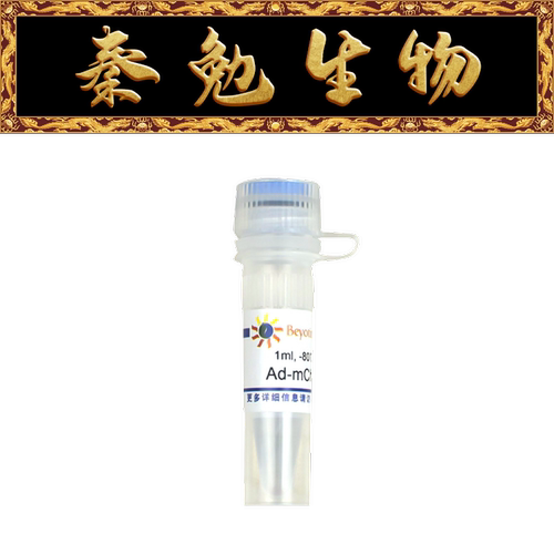 碧云天C3016Ad-mCherry-p62