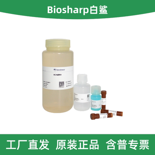 BCA蛋白浓度测定试剂盒增强型