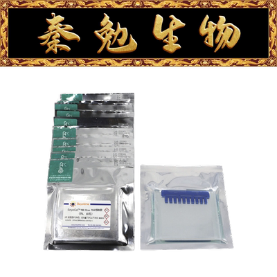 BeyoGel™TBE-UreaPAGE预制胶