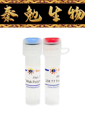 碧云天 R7013S/R7013M/R7013L T7 RNA聚合酶（高浓度）