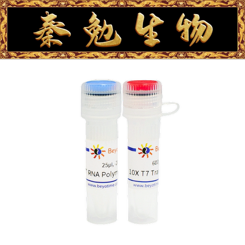 碧云天T7RNA聚合酶（高浓度）