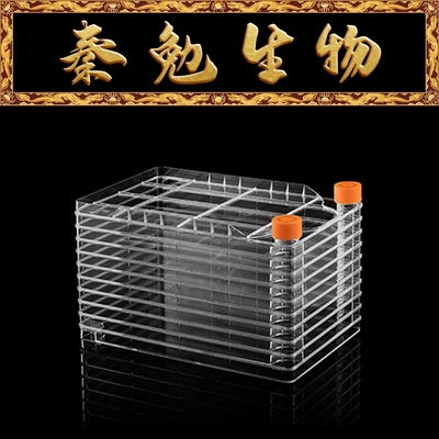 LABSELECT甄选10层细胞工厂