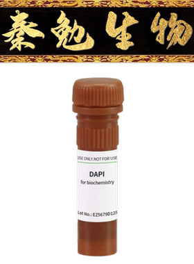 BioFroxx 货号：1155MG010 试剂DAPI