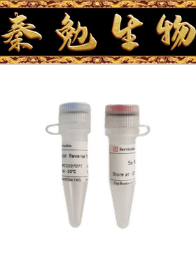 赛维尔 货号：G3415-10KU SweScript Reverse Transcriptase I