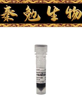 赛维尔 货号：G3651-1ML 琼脂糖羟基磁珠（SweMagrose OH）