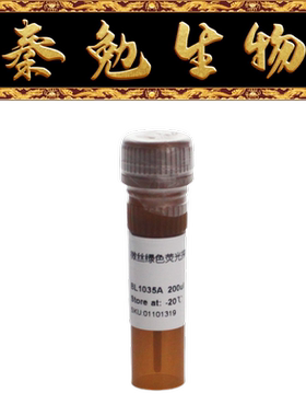 Biosharp白鲨 BL1035A Actin-Tracker Gree(微丝绿色荧光探针)