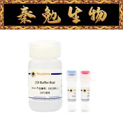 碧云天BsaIIIS类限制性内切酶