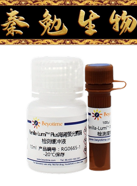 碧云天 RG066S/RG066M Renilla-Lumi™ Plus海肾萤光素酶试剂盒