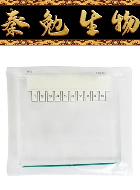 Biosharp白鲨 BL1401A 蛋白预制胶 Bis-Tris, 8-16%, 10孔, 1.0mm