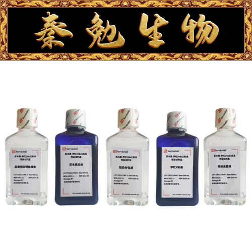 赛维尔伊红(H&E)高清恒染试剂盒