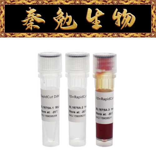 Biosharp快速限制性内切酶