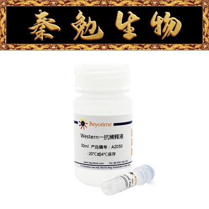 碧云天 AF2038 STAT5a兔单克隆抗体