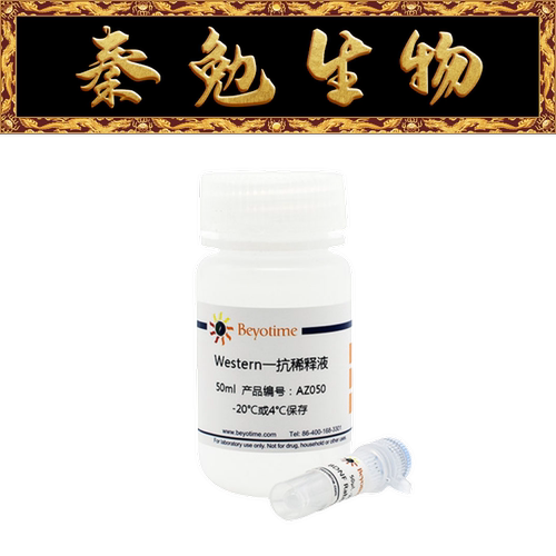 碧云天STAT5a兔单克隆抗体