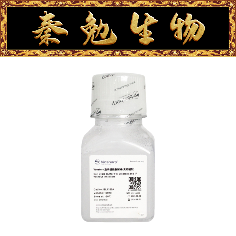 BiosharpWestern及IP细胞裂解液