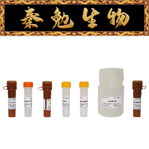 赛维尔细胞增殖检测试剂盒