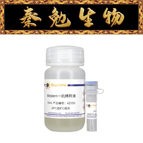 碧云天PRMT5小鼠单克隆抗体