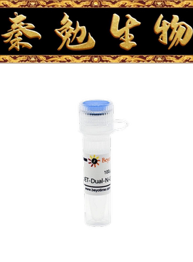 碧云天 D2933-1μg/D2933-100μg pET-Dual-N-GST-PreScission