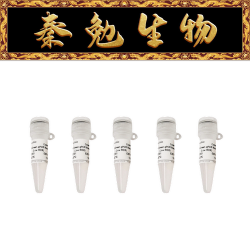 SYBRGreenqPCR预混液赛维尔