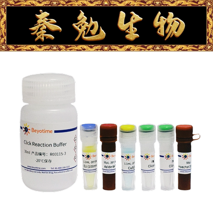 碧云天 R0311S/R0311L BeyoClick™ EU-647 RNA合成检测试剂盒