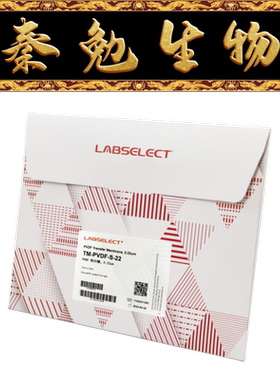 LABSELECT甄选 TM-PVDF-S-22 PVDF转印膜,0.22μm (10cmx15cm)