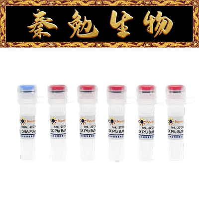 碧云天PfuDNAPolymeraseD7217