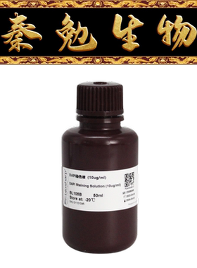 Biosharp白鲨 BL105B DAPI溶液(即用型)