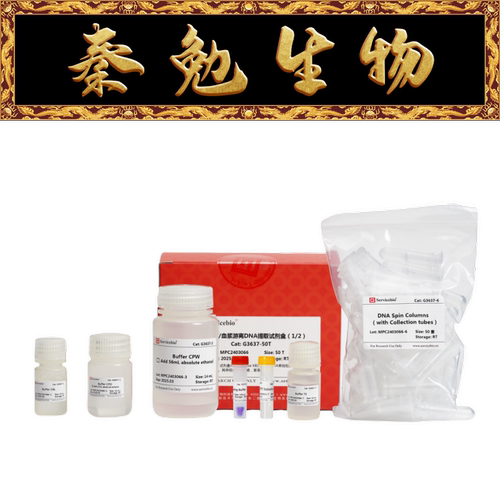 赛维尔血清/血浆游离DNA