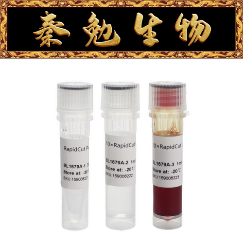BiosharpRapidCutPvuIBL1679A