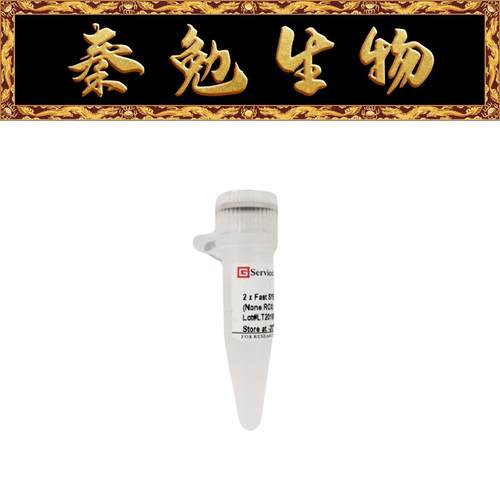 SYBRGreenqPCR预混液赛维尔