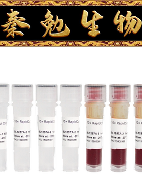 Biosharp白鲨 BL1257A RapidCut XhoI 快速限制性内切酶