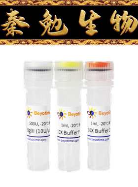 碧云天 D6093 BglII内切酶