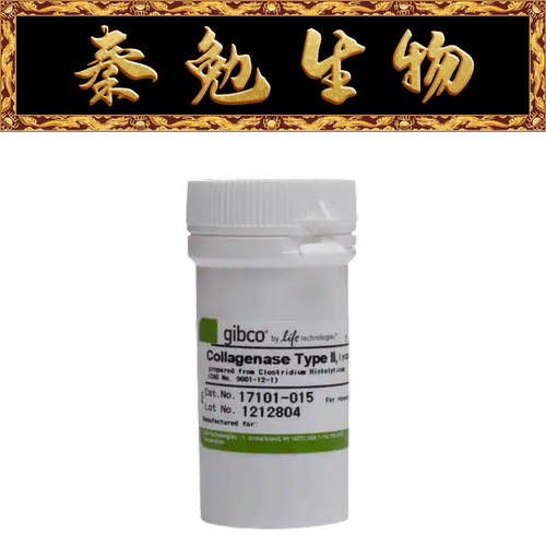 Gibco胶原酶II型17101-015