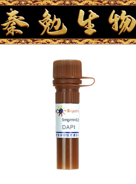 碧云天 C1002 DAPI dihydrochloride