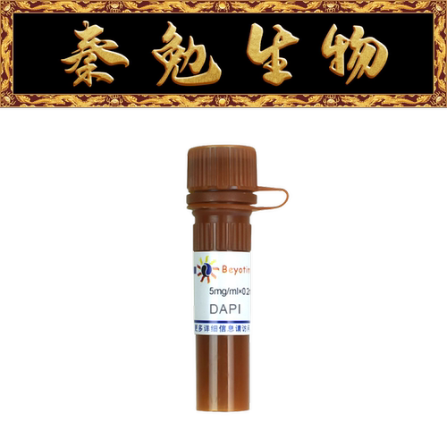 碧云天DAPIdihydrochloride