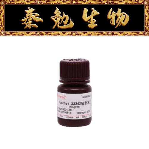 索莱宝33342染色液C0031