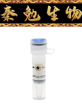 碧云天 C3012-1ml/C3012-10ml AdPlus-mCherry-GFP-LC3B