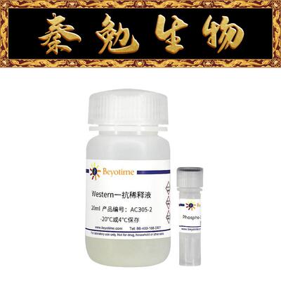 Phospho-CENP-A(Ser7)抗体兔多抗