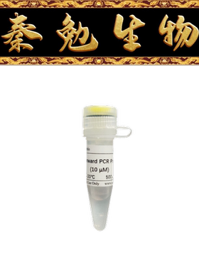 赛维尔 货号：G3041-500UL 上游U6 PCR引物（用于miRNA qRT-PCR）