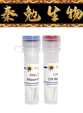 碧云天 R7089S/R7089M/R7089L 核糖核酸酶HII