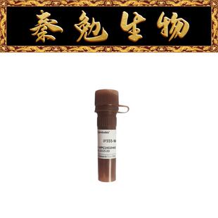 赛维尔 货号:G1731-100UL iF555-Wheat Germ Agglutinin WGA红光