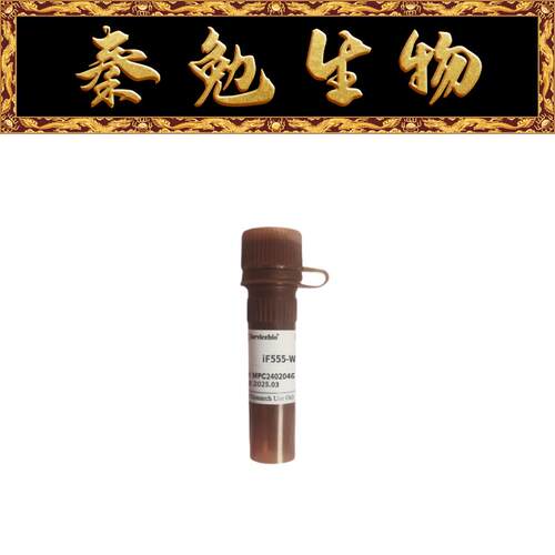 G1731-100ULiF555-Wheat赛维尔