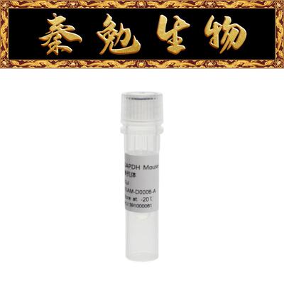 GAPDHMouseMonoclonal内参抗体
