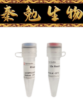 赛维尔 货号：G3417-100U 核糖核酸酶H（E.coli）